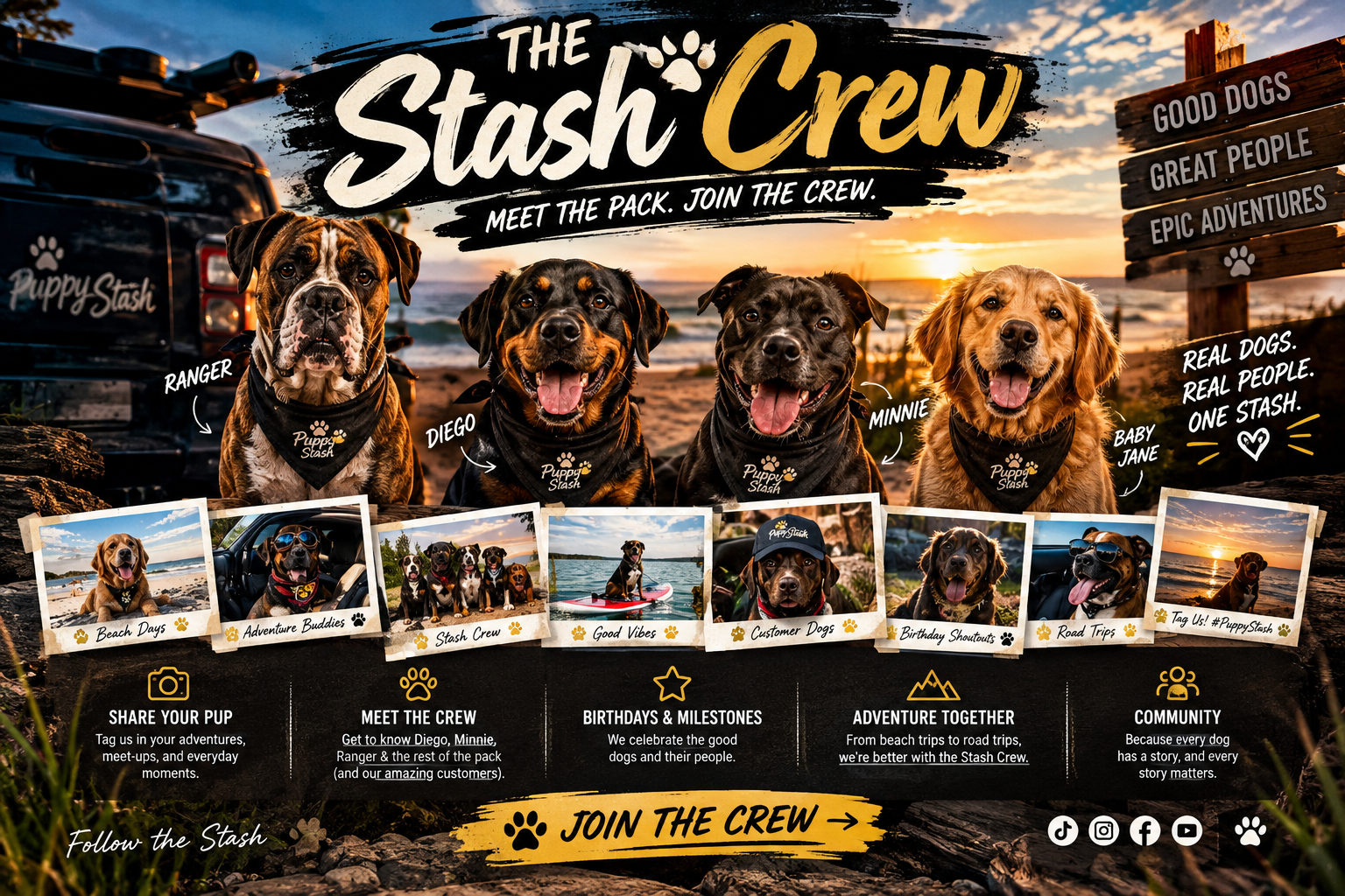 🐾 STASH CREW
