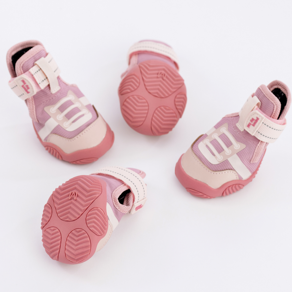 The Kai All-Season Dog Sneaker by Paws by Kai