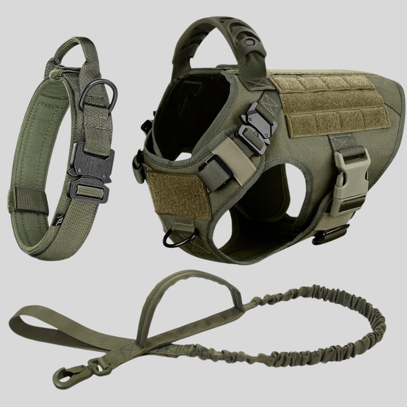 Puppy Stash Adventure Pro Harness + Leash Set