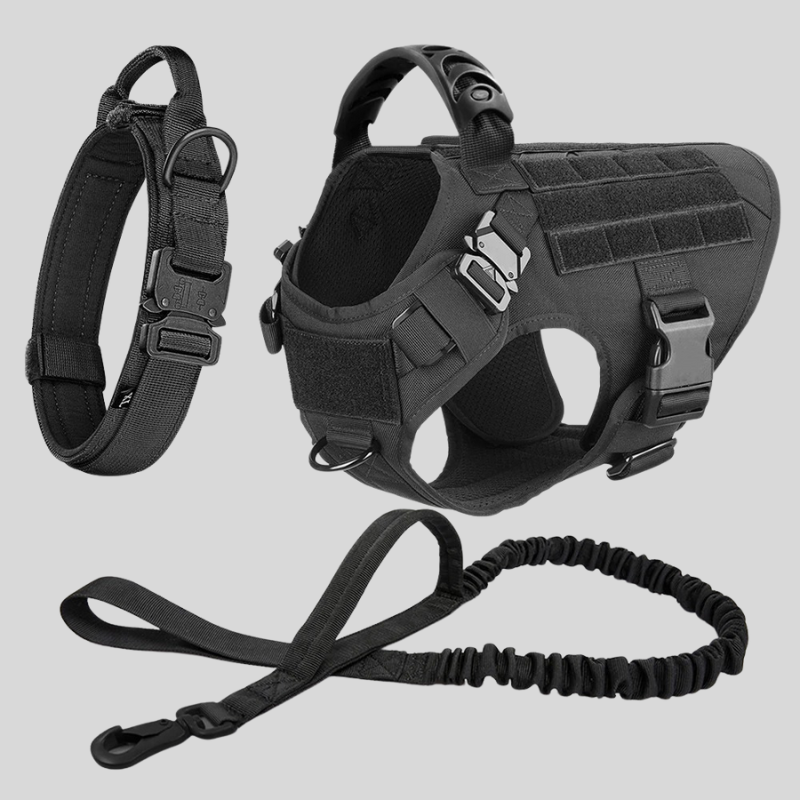 Puppy Stash Adventure Pro Harness + Leash Set