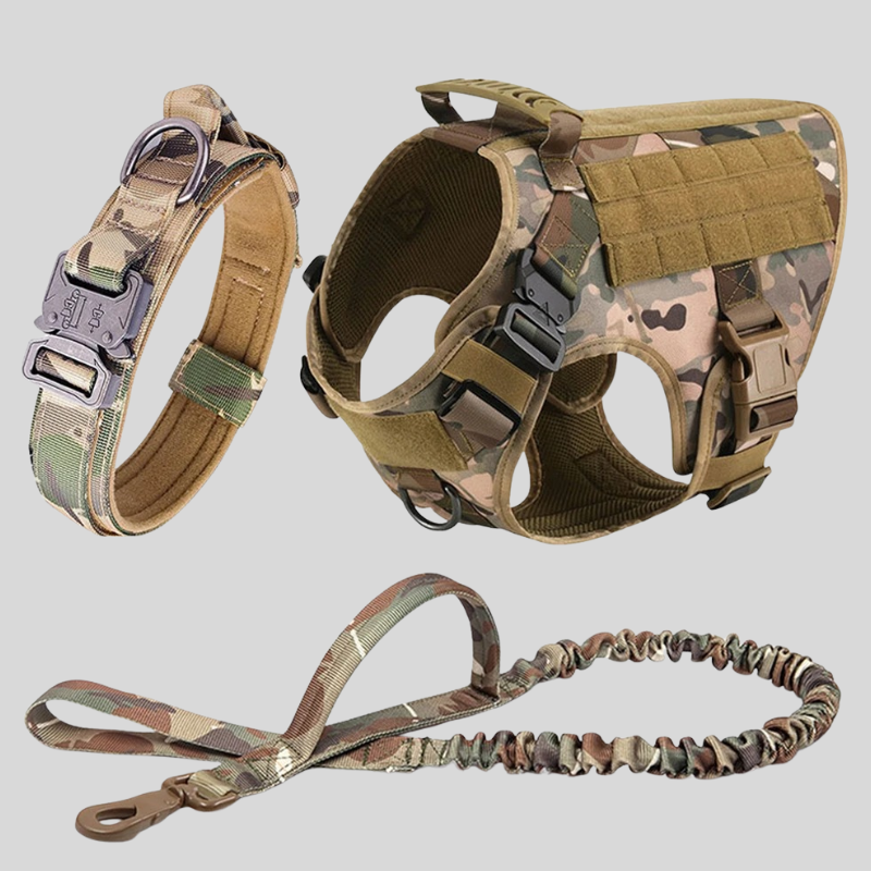 Puppy Stash Adventure Pro Harness + Leash Set