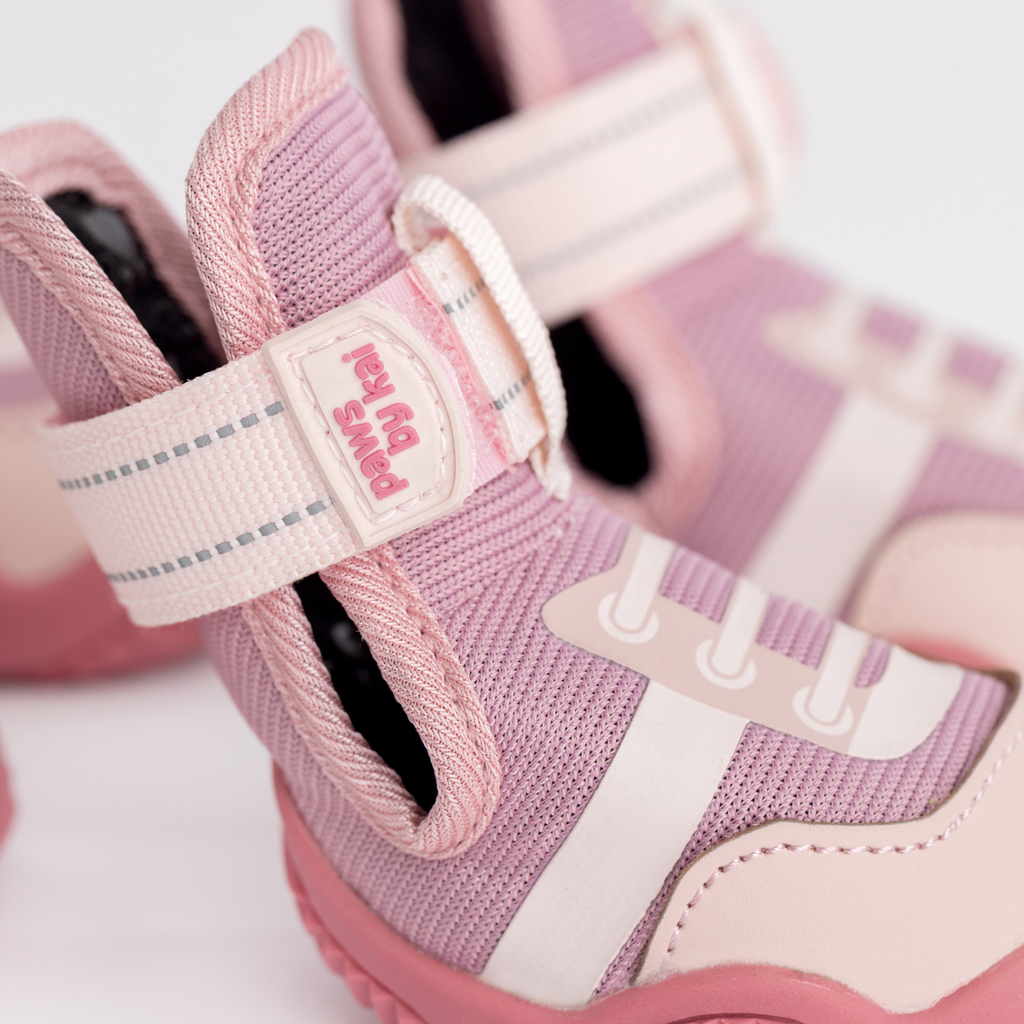 The Kai All-Season Dog Sneaker by Paws by Kai