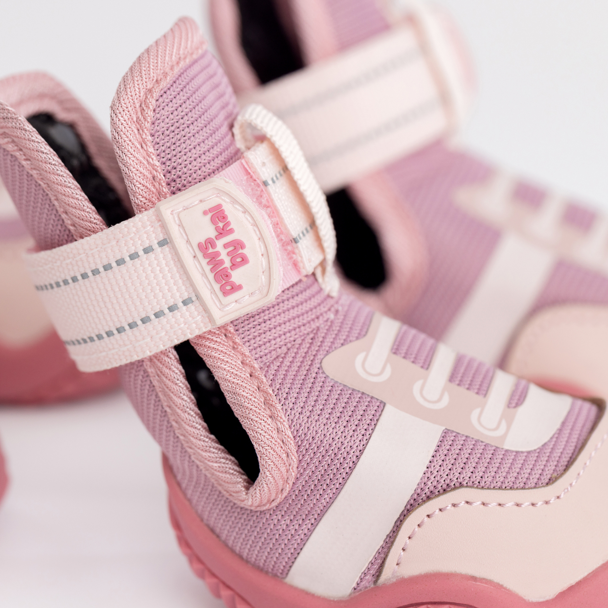 The Kai All-Season Dog Sneaker by Paws by Kai