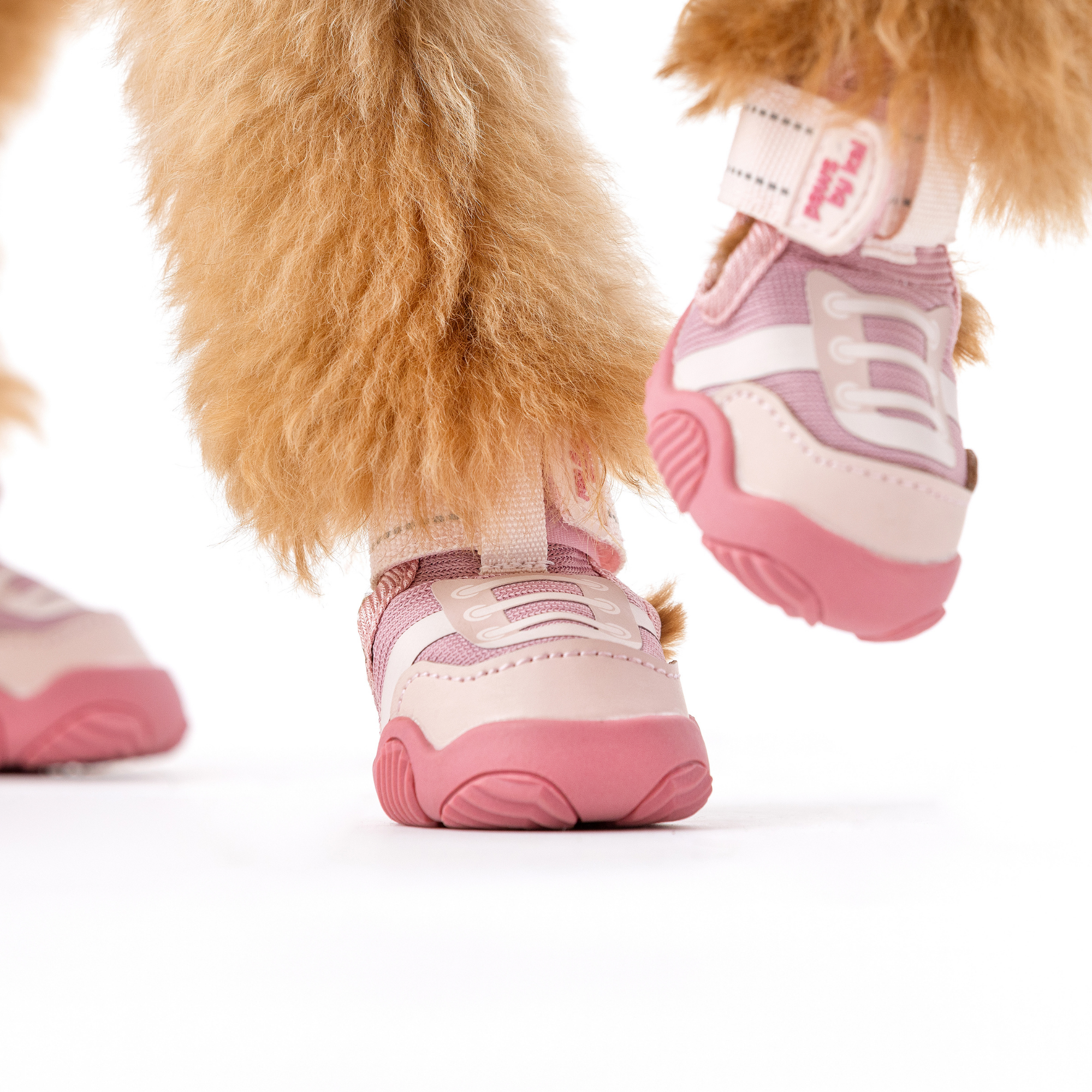 The Kai All-Season Dog Sneaker by Paws by Kai