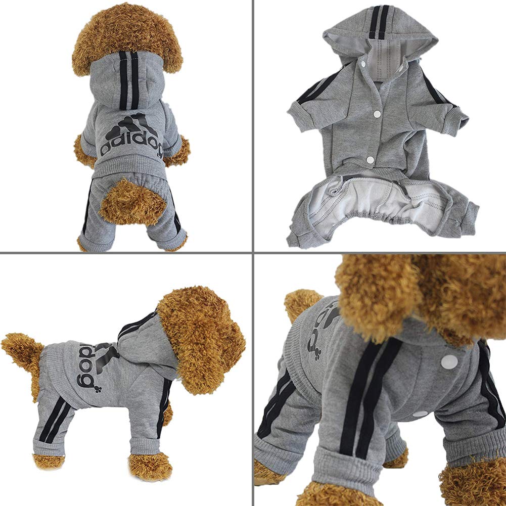 Puppy Stash Track Pup Hoodie