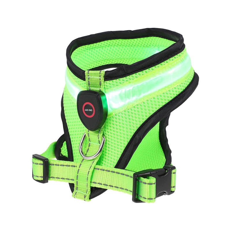Puppy Stash After Dark LED Harness