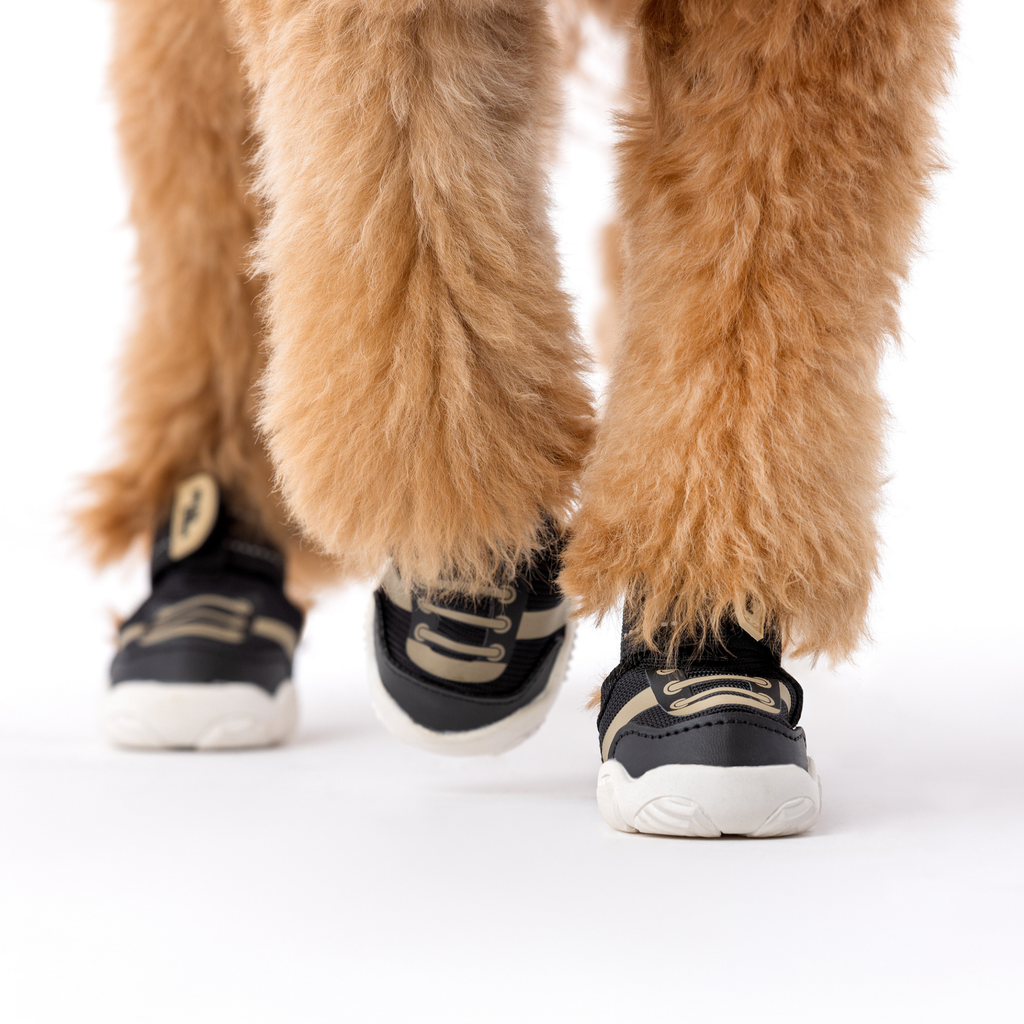 The Kai All-Season Dog Sneaker by Paws by Kai