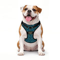 Puppy Stash Coastal Adventure Harness
