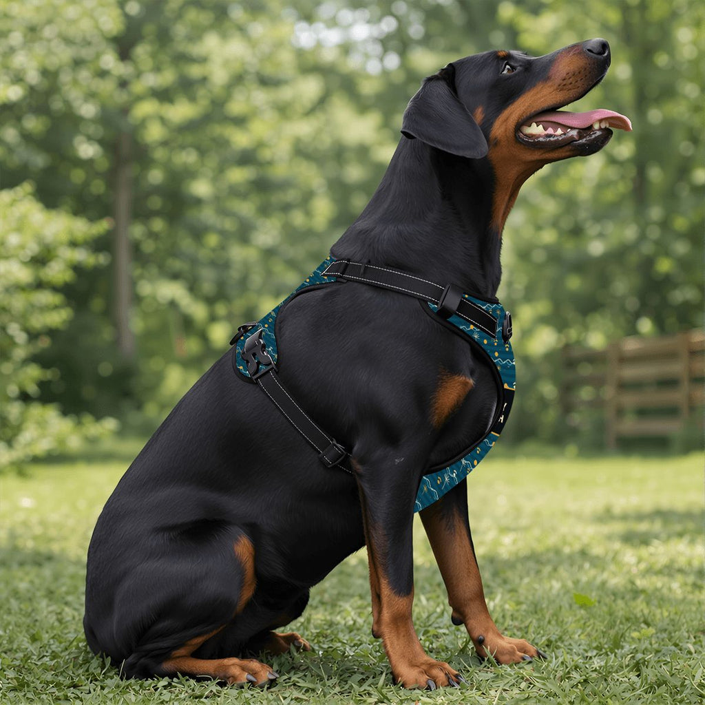 Puppy Stash Coastal Adventure Harness