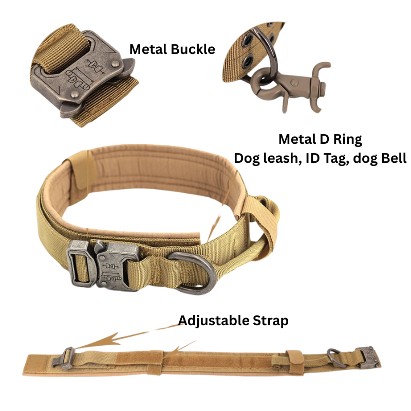 Puppy Stash Adventure Pro Harness + Leash Set