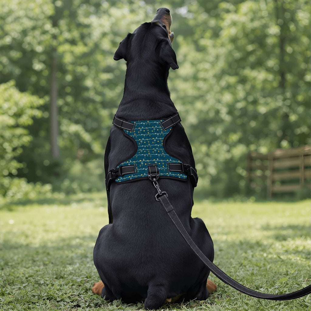 Puppy Stash Coastal Adventure Harness