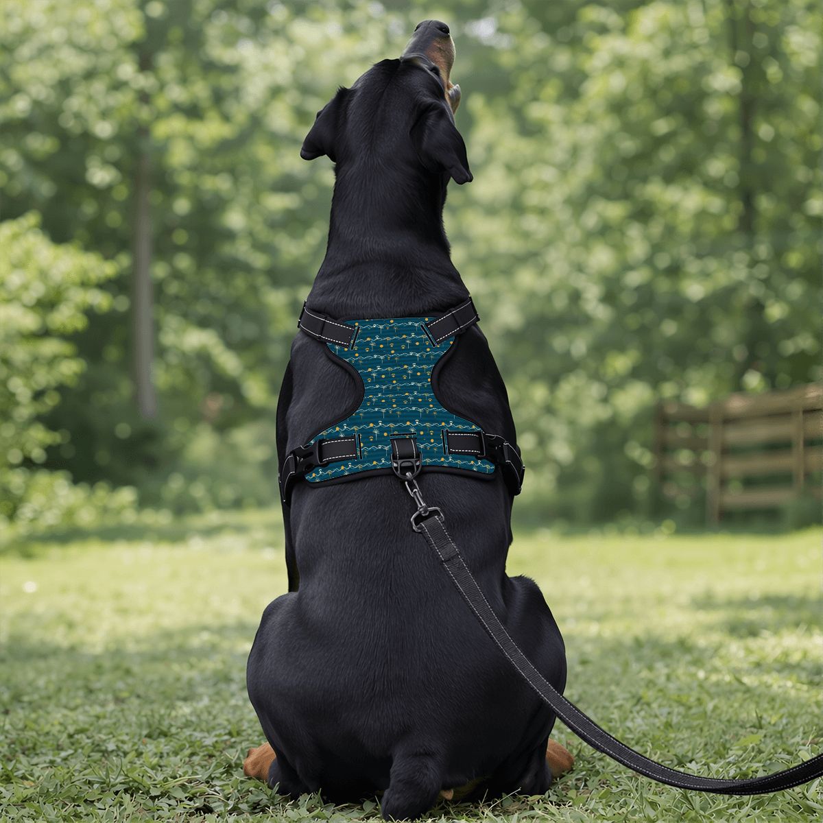 Puppy Stash Coastal Adventure Harness