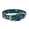 Puppy Stash Coastal Adventure Collar