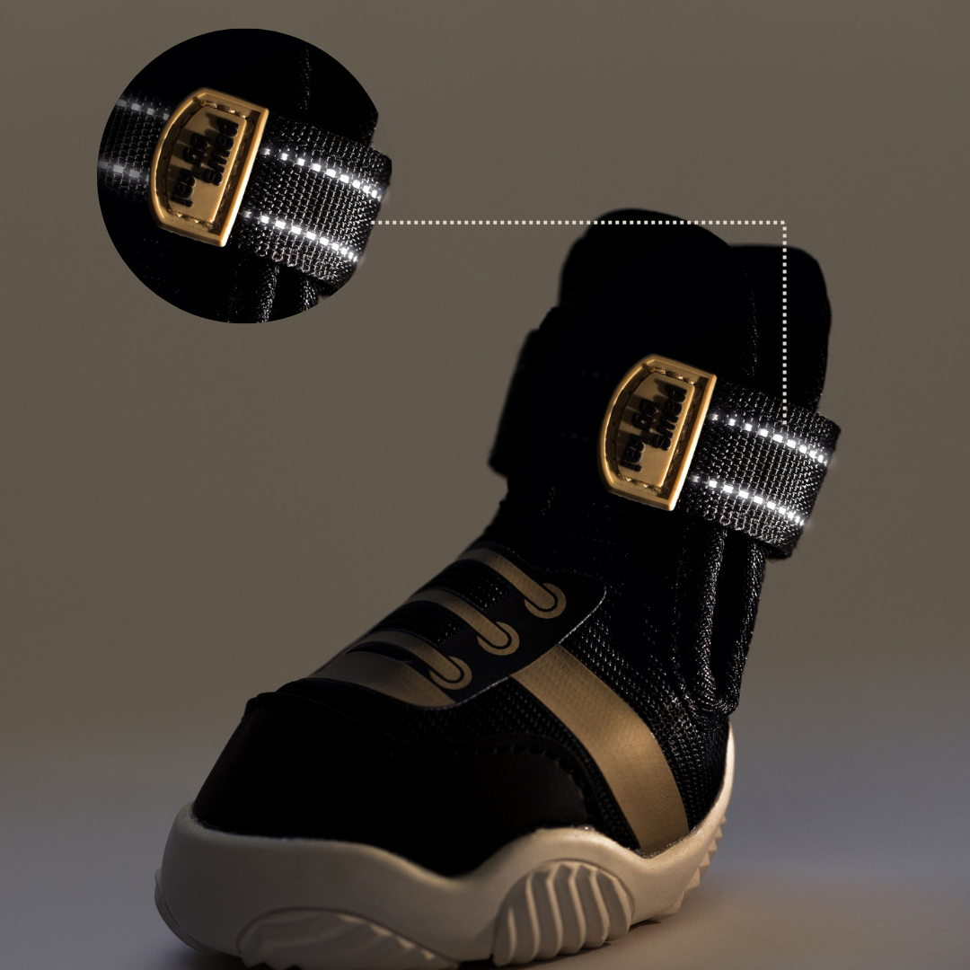 The Kai All-Season Dog Sneaker by Paws by Kai