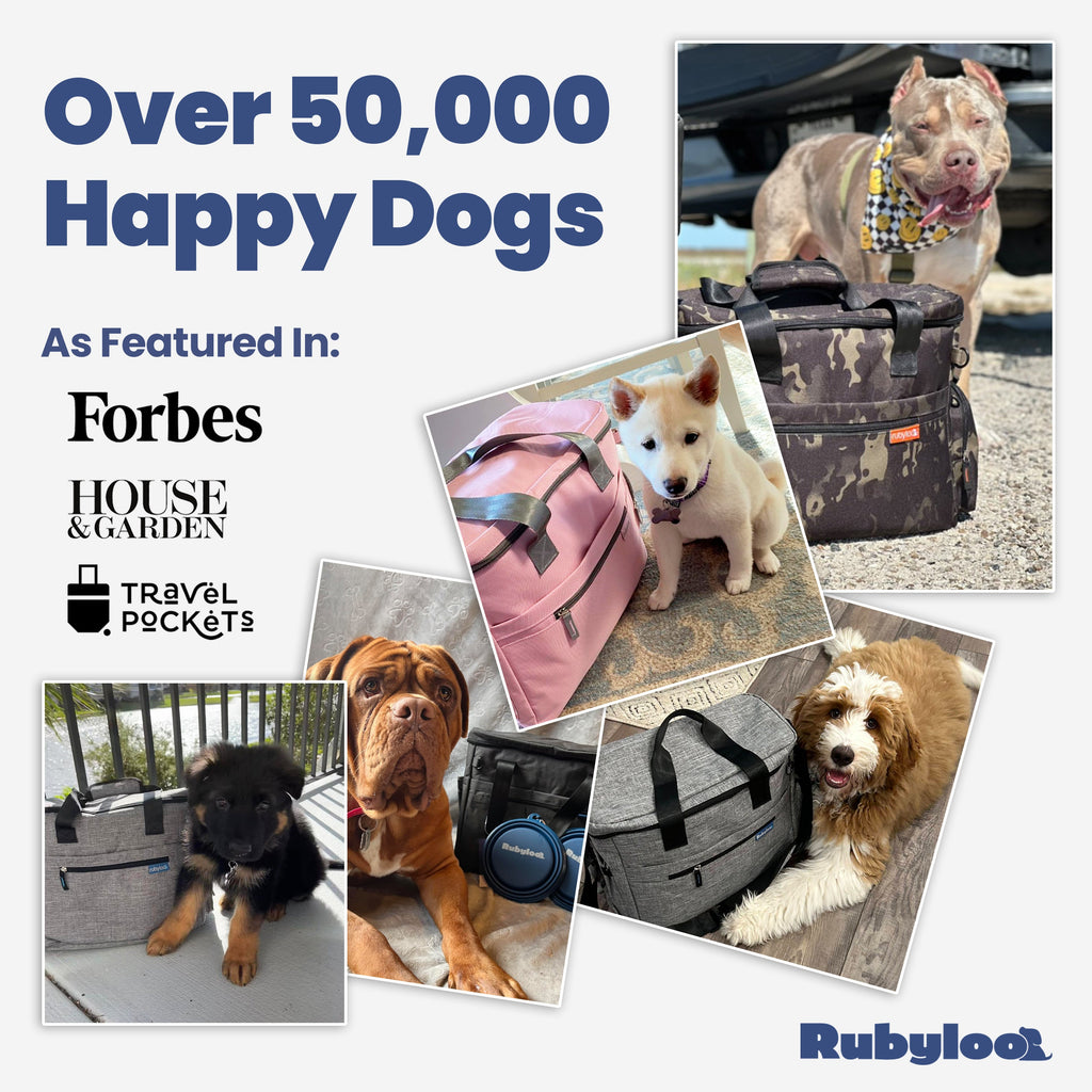 The Puppy Stash™ Adventure Bag