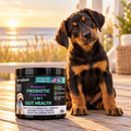 Puppy Stash 3-in-1 Gut Health Probiotic Chews — 90 Count by Googipet