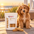 Doodle Doo Bakery Peanut Butter Stix — Homemade Dog Treats (8 oz)