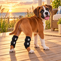 Puppy Stash Rear Leg Support Brace — by NeoAlly (Pair)