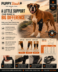 Puppy Stash Helping Paws dog elbow support brace