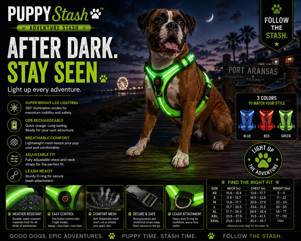 Puppy Stash After Dark LED Harness
