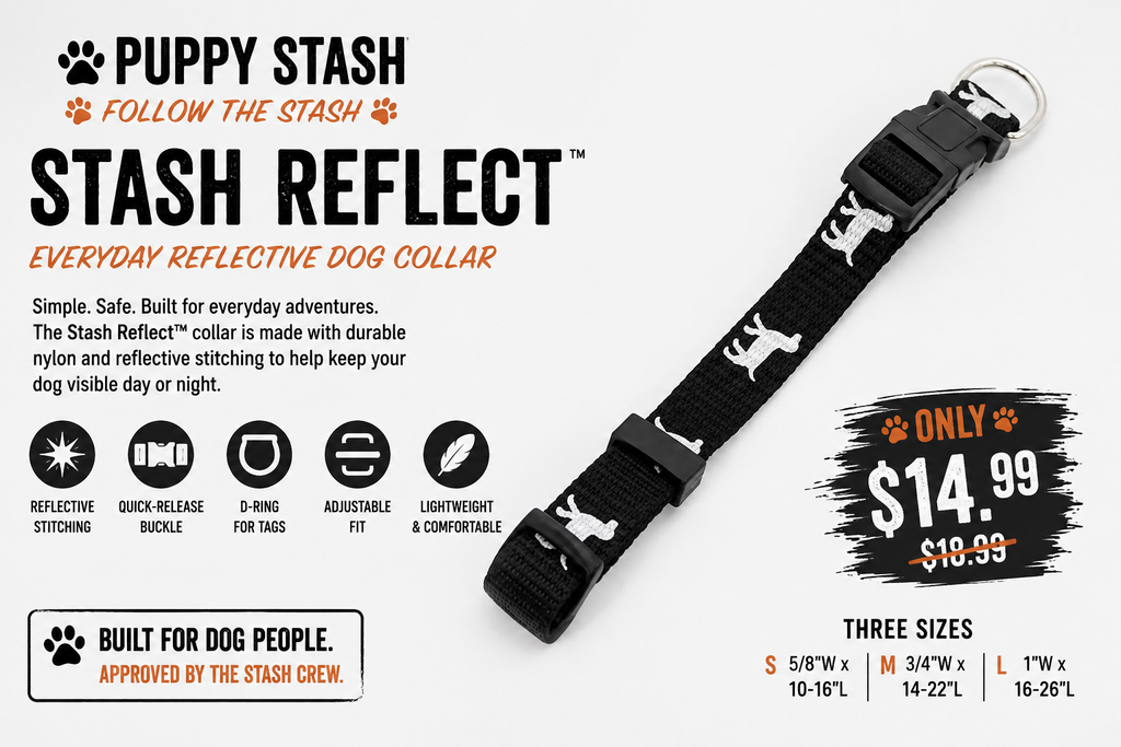 Stash Reflect™ — Everyday Reflective Collar