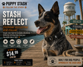 Stash Reflect™ — Everyday Reflective Collar
