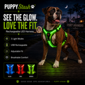 Puppy Stash After Dark LED dog harness