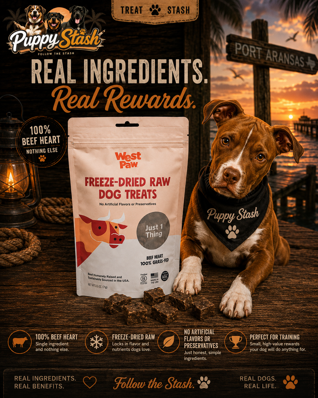 West Paw Freeze-Dried Beef Heart Dog Treats — Single Ingredient, 2.5 oz