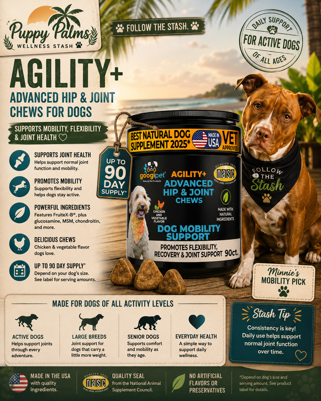 Googipet Agility+ hip and joint chews for dogs