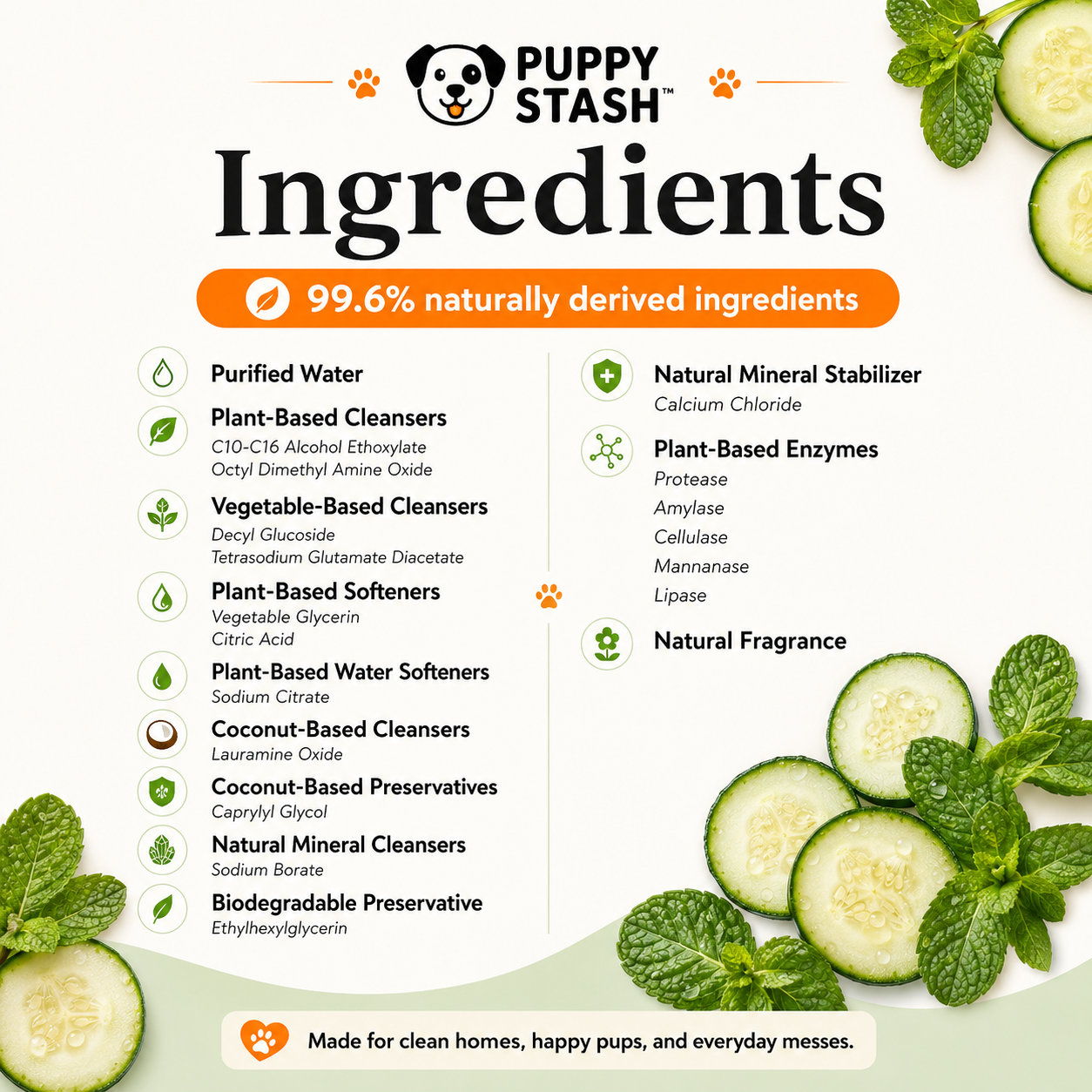 Home Stash Pet Stain & Odor Remover — Cucumber + Mint by Puracy