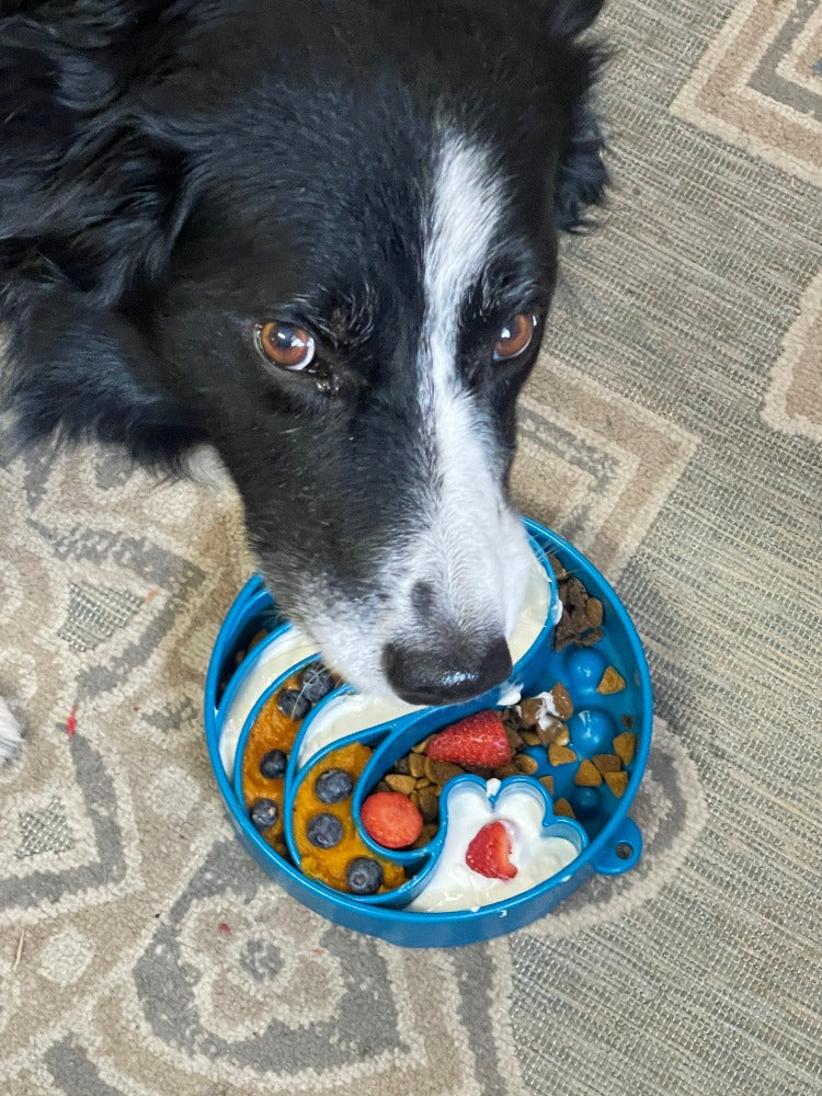 The Puppy Stash™ Tidal Bowl