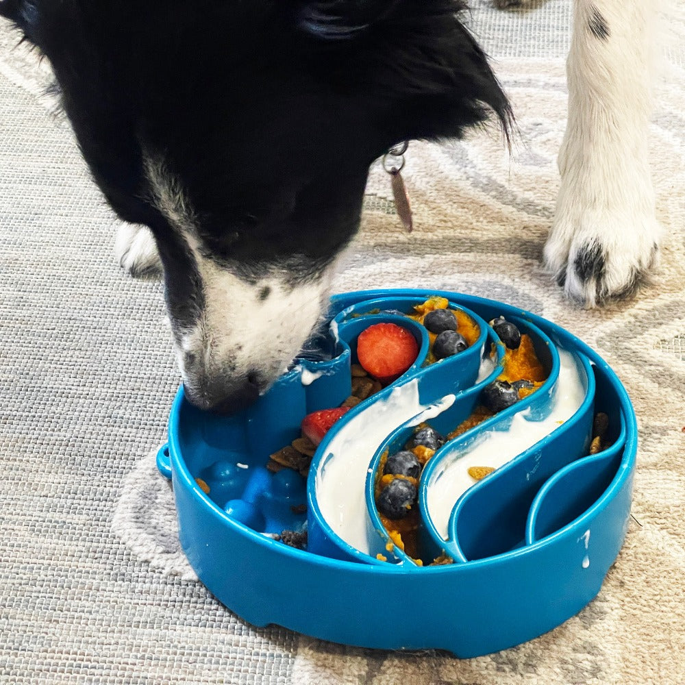 The Puppy Stash™ Tidal Bowl