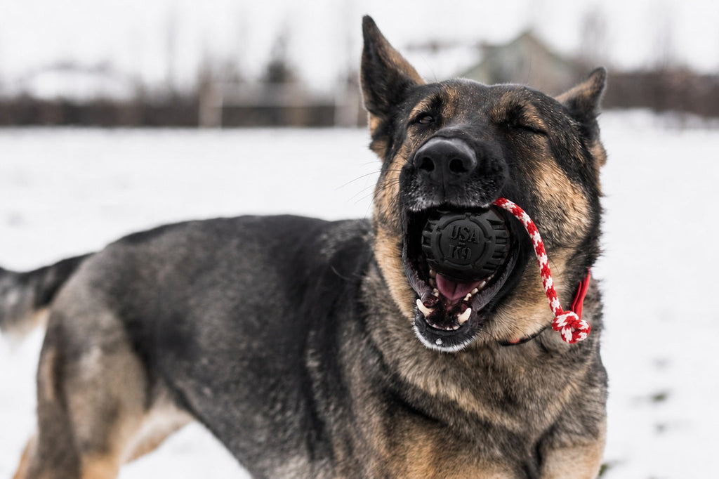 Stash Magnum™ — Heavy-Duty K9 Tug & Chew Toy