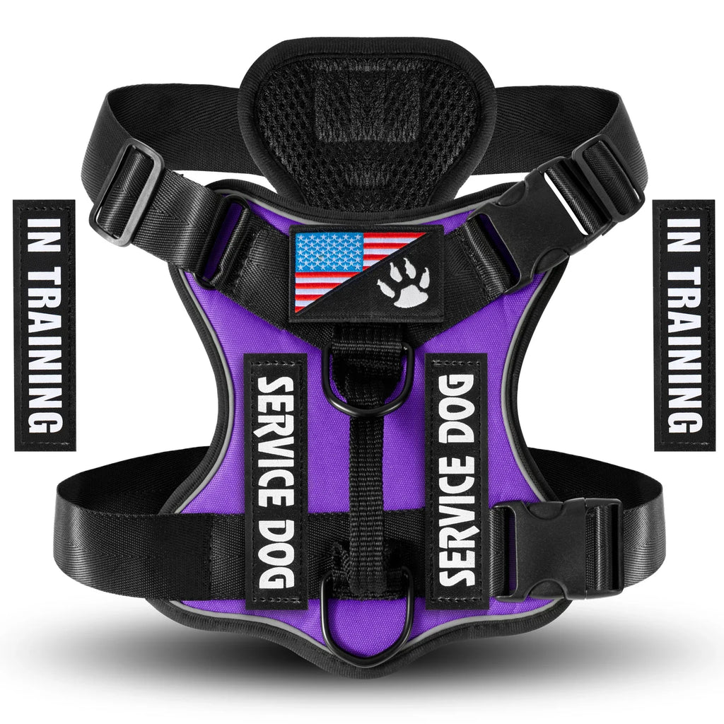 Puppy Stash™ Adventure Control Harness