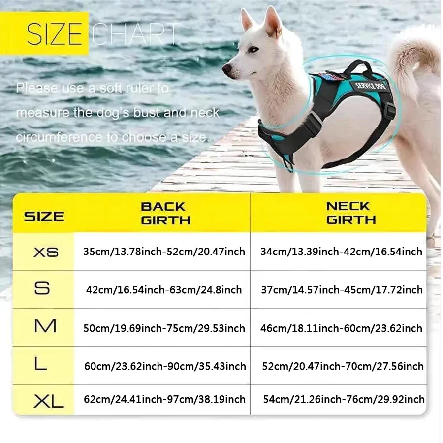 Puppy Stash™ Adventure Control Harness