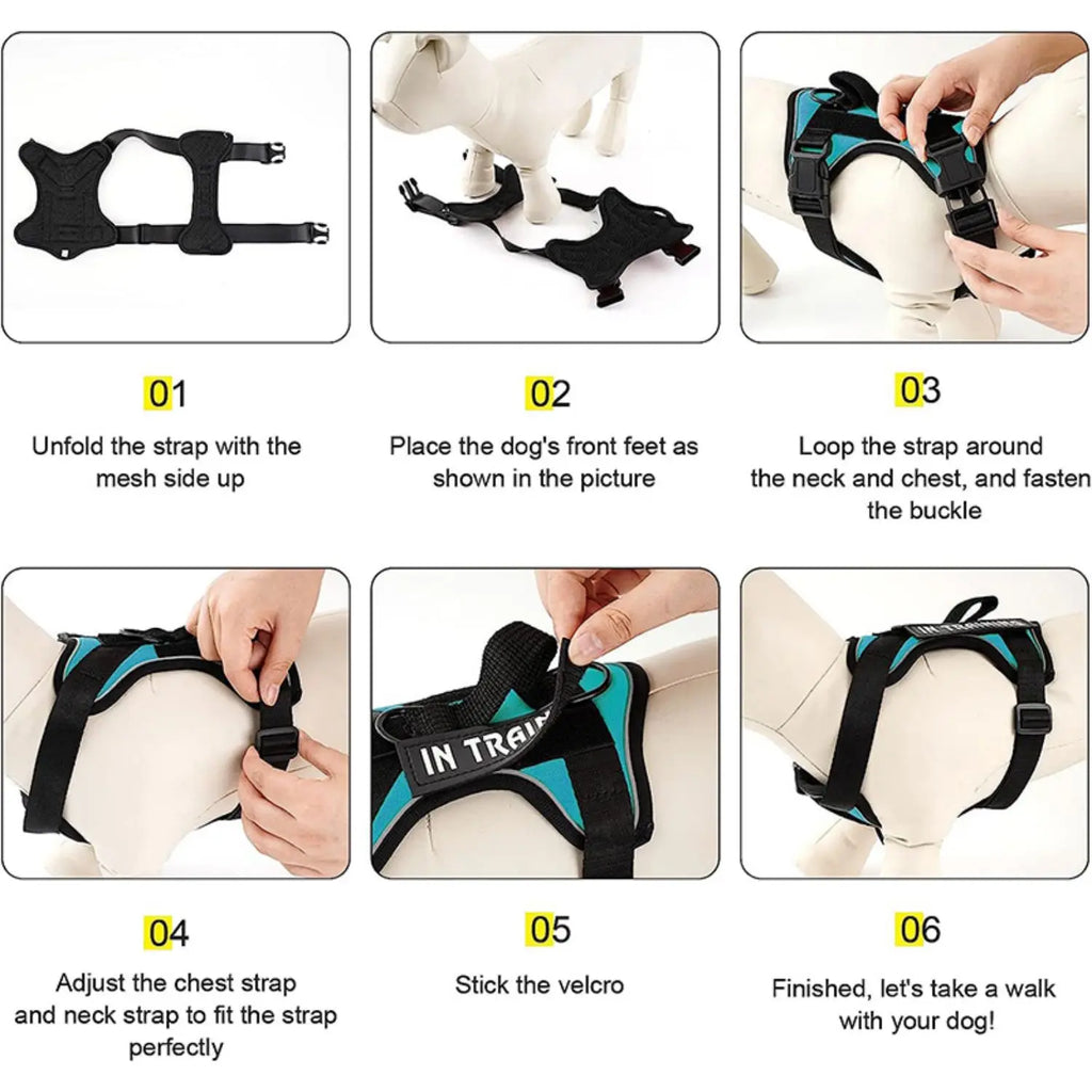Puppy Stash™ Adventure Control Harness