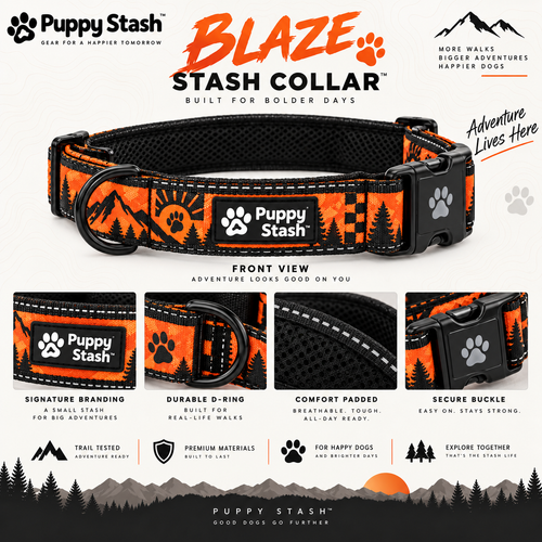 Blaze Stash Collar design board with product and hardware details