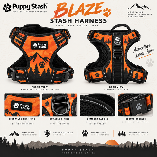 Blaze Stash Harness front back and feature design board