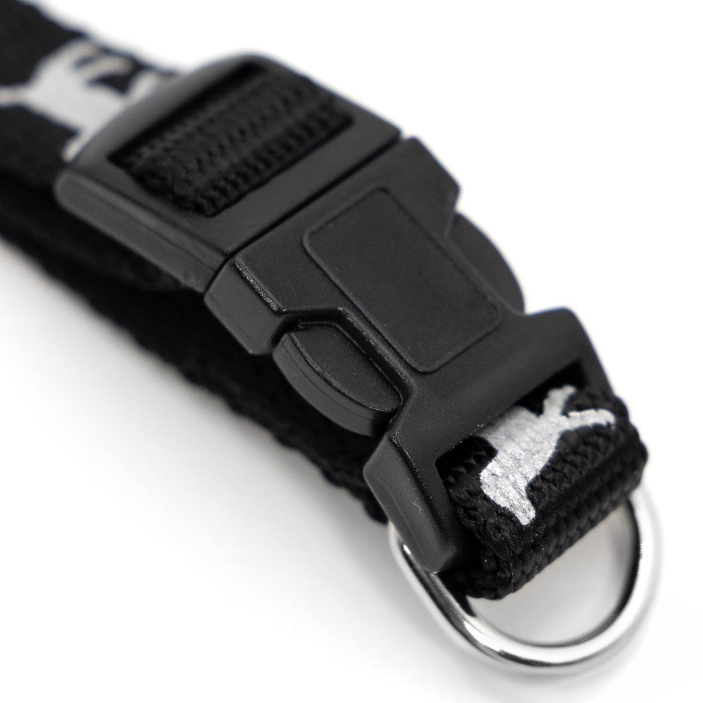 Stash Reflect™ — Everyday Reflective Collar