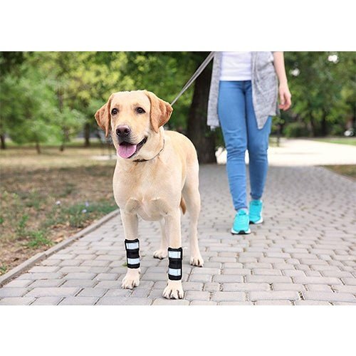 NeoAlly Front-Leg Support Braces — Pair