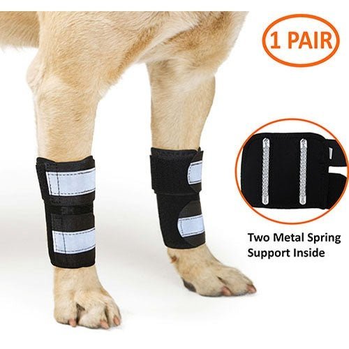 NeoAlly Front-Leg Support Braces — Pair
