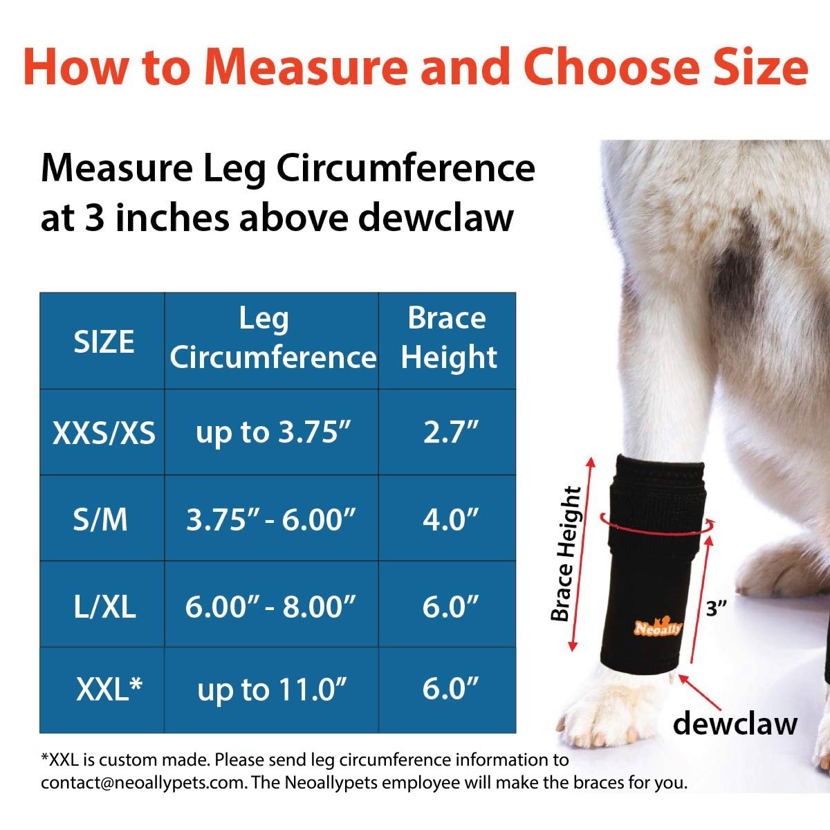 NeoAlly Front-Leg Support Braces — Pair