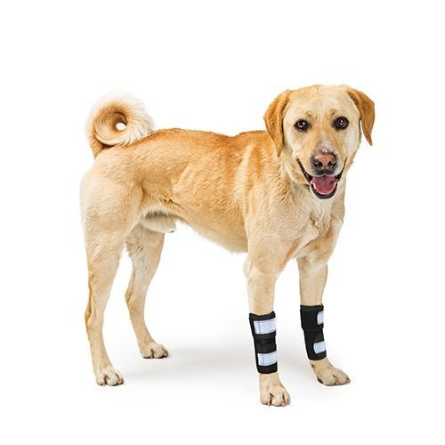 NeoAlly Front-Leg Support Braces — Pair