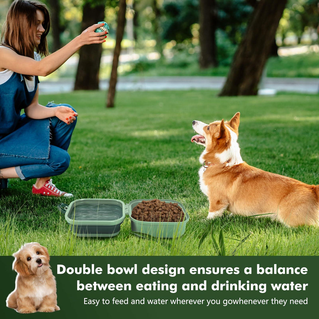 The Stash & Go™ 2-in-1 Travel Bowl