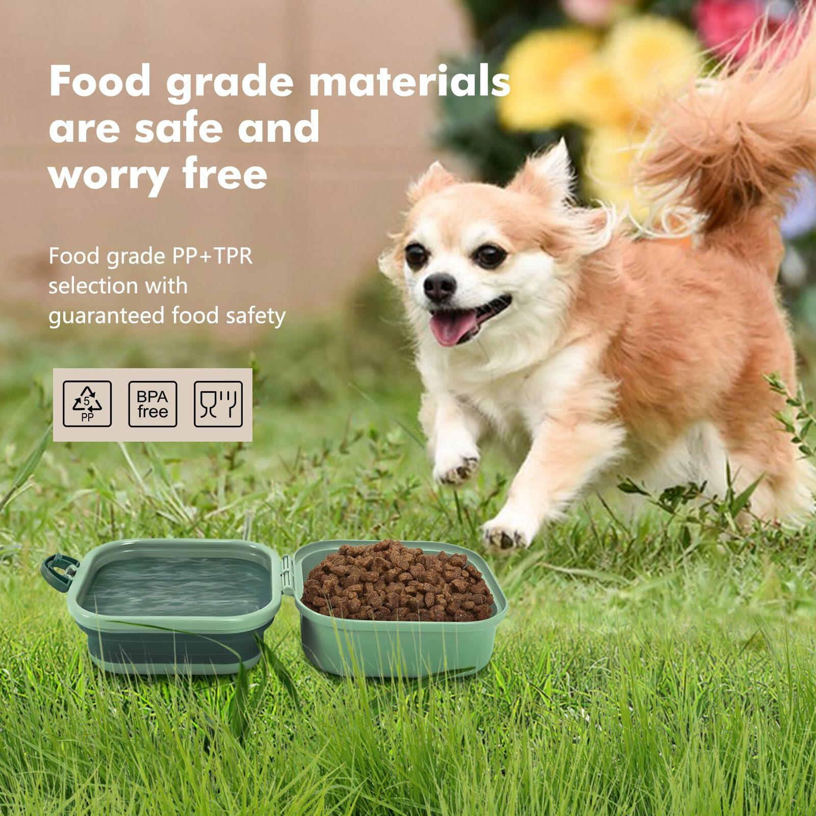 The Stash & Go™ 2-in-1 Travel Bowl