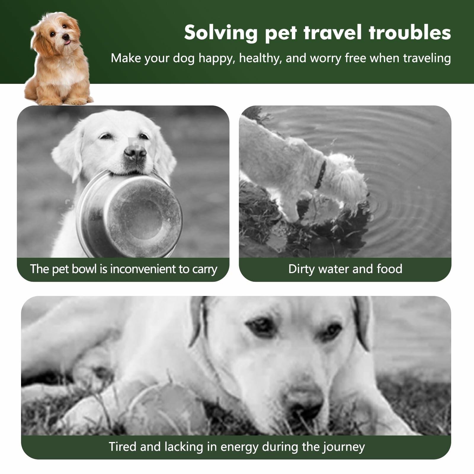 The Stash & Go™ 2-in-1 Travel Bowl
