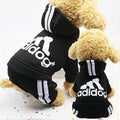 Puppy Stash Track Pup Hoodie