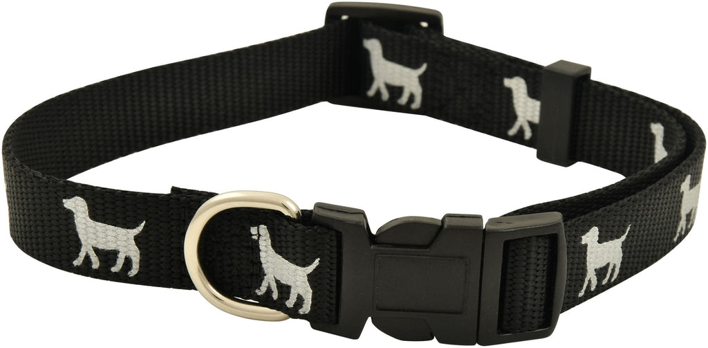 Stash Reflect™ — Everyday Reflective Collar